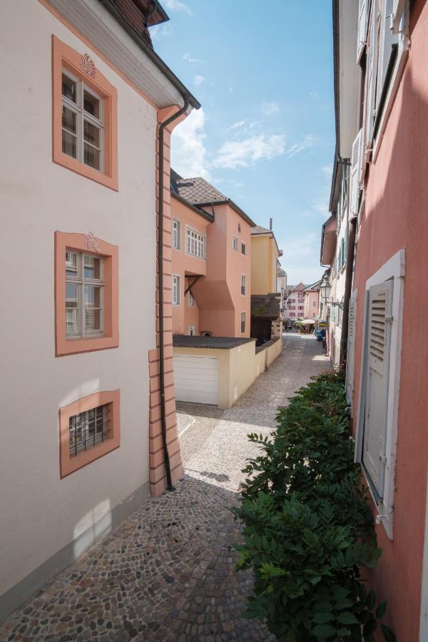 Neu / Design / Altstadt / Kueche / Netflix Bad Säckingen Екстериор снимка